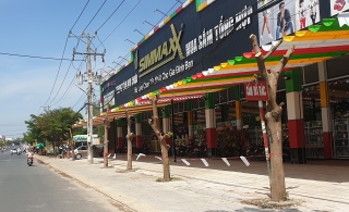 Hòa Thành: Một cửa hàng bách hóa ngang nhiên "tiện đọt" cây xanh vỉa hè