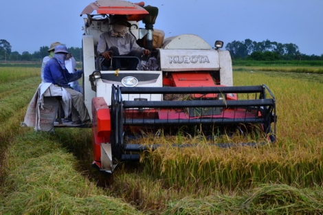 Bài 1: Chưa khai thác được tiềm năng