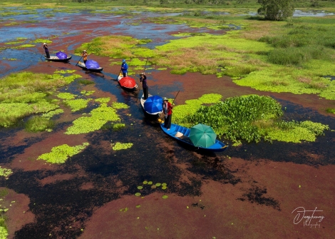 Nhớ ngày nhà giáo đầu tiên.