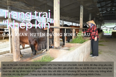 Trang trại “khép kín” ở xã Phan, huyện Dương Minh Châu