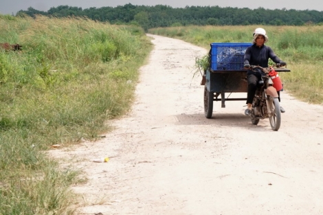 Lãng phí đất nông trường ở huyện Tân Châu