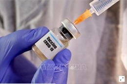 Việt Nam sẽ thử nghiệm giai đoạn 1 vaccine COVID-19 từ ngày 10/12