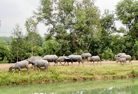 Thông tin kinh tế trong tỉnh