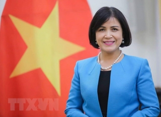 Việt Nam thúc đẩy ASEAN tham gia tích cực tại các tổ chức quốc tế