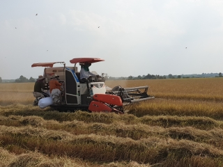 Xã Hòa Thạnh: Giải ngân nửa tỷ đồng Quỹ hỗ trợ nông dân