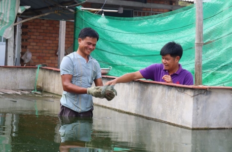 Gò Dầu hiện còn 495 hộ nghèo, hộ cận nghèo