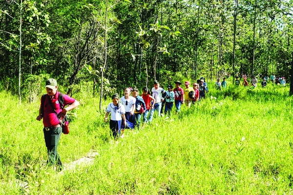 Một ngày vui, bổ ích ở rừng