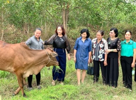 Trao bò sinh sản cho phụ nữ nghèo phường Long Thành Bắc