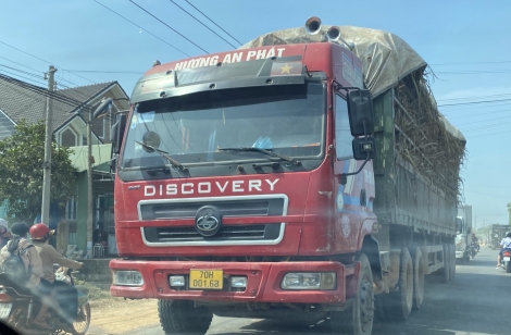 Hỗ trợ, tạo điều kiện thuận lợi vận chuyển mía về nhà máy