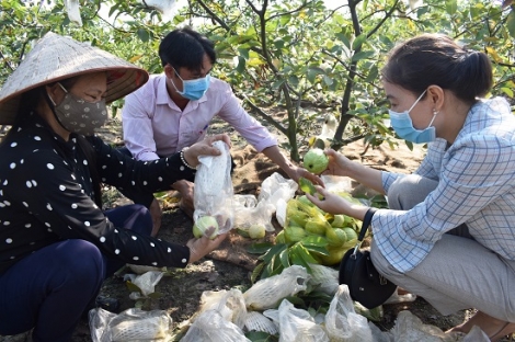 Phát huy hiệu quả nguồn vốn uỷ thác