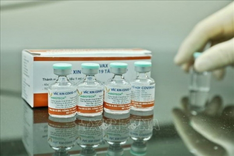 Rút ngắn một nửa thời gian nghiên cứu vaccine Nano Covax