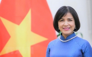 Việt Nam tham dự vòng đàm phán về trợ cấp thủy sản của WTO