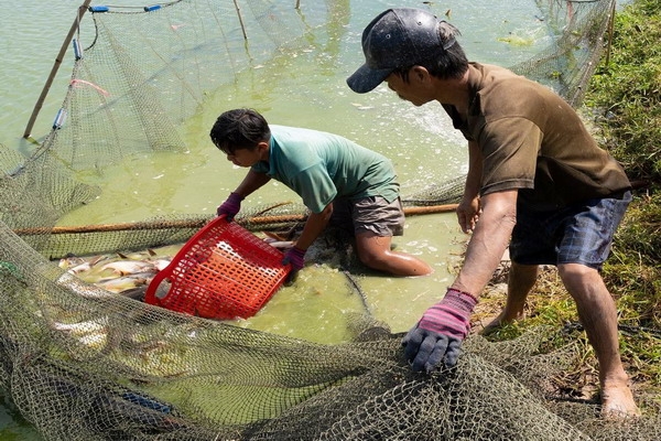 Bài cuối: Cần sự vào cuộc của ngành chức năng