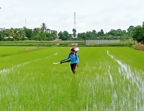 Thông tin kinh tế trong tỉnh