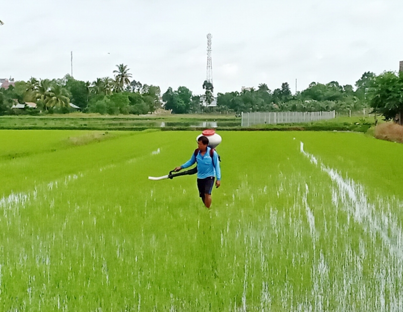 Thông tin kinh tế trong tỉnh