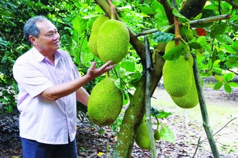 Cần tìm giải pháp tiếp cận chính sách ưu đãi