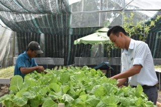 Phát triển nông nghiệp bền vững, tăng khả năng cạnh tranh