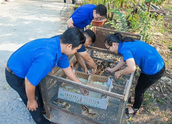 Tích cực hỗ trợ thanh niên khởi nghiệp