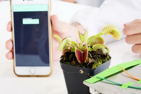 Singapore chế tạo robot thực vật có thể nhặt được những vật thể mỏng