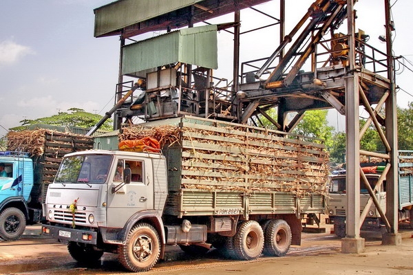 Thông tin kinh tế trong tỉnh