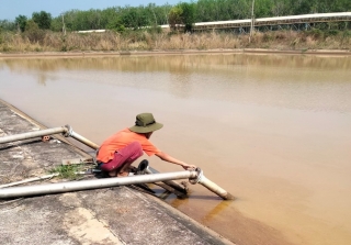 Nguồn nước thượng nguồn sông Sài Gòn chuyển màu bất thường