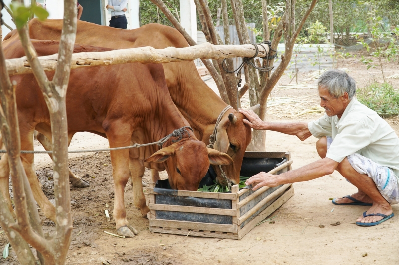 Kỳ 2: “Trao cần câu” cho đảng viên có hoàn cảnh khó khăn