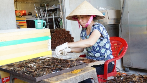 Nuôi rết thương phẩm cho thu nhập cao