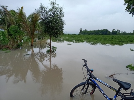 Mưa lớn gây ngập cục bộ một số điểm