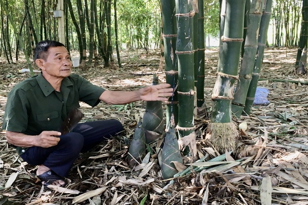 Gặp người treo cờ giải phóng tại Chi khu Phước Ninh