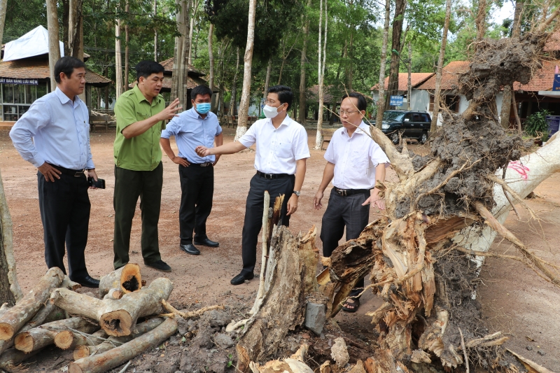 Lãnh đạo tỉnh kiểm tra thiệt hại do giông lốc tại Căn cứ Trung ương Cục miền Nam