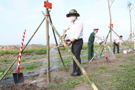 Bí thư Tỉnh uỷ dự lễ phát động trồng cây “Đời đời nhớ ơn Bác Hồ” năm 2021