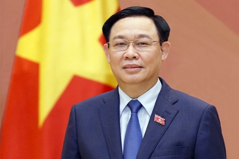 Chủ tịch Quốc hội Vương Đình Huệ: Cử tri tích cực đi bầu, lựa chọn người mình tin tưởng nhất
