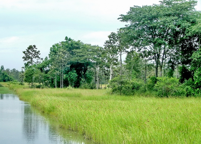 Thông tin kinh tế trong tỉnh