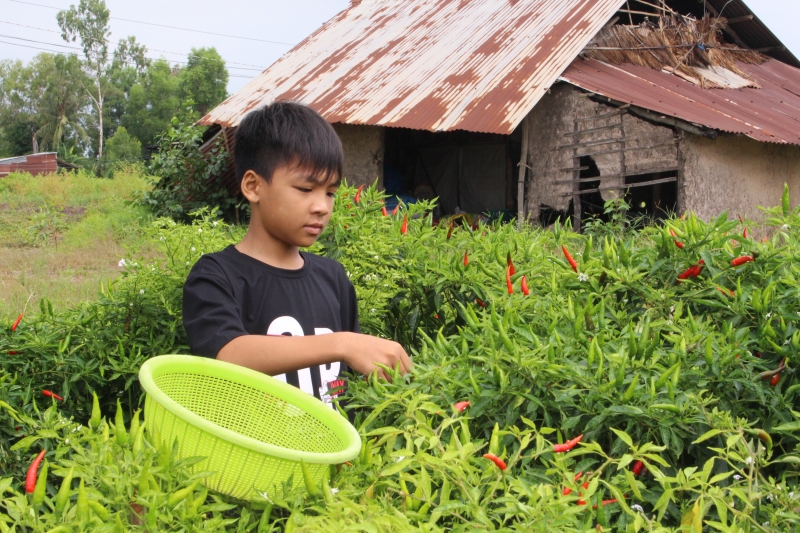 Cậu học trò siêng năng