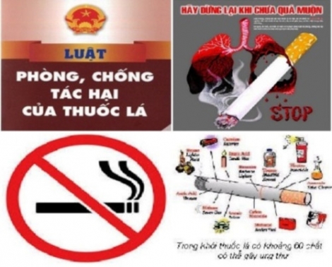 Phòng, chống tác hại của thuốc lá