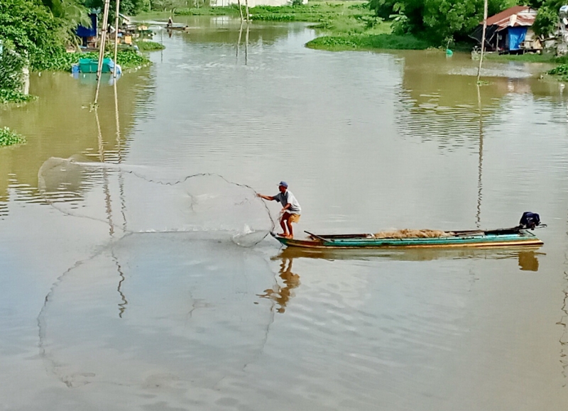 Thông tin kinh tế trong tỉnh