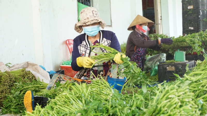 Bảo đảm số lượng và chất lượng nguồn nhân lực trong sản xuất nông nghiệp