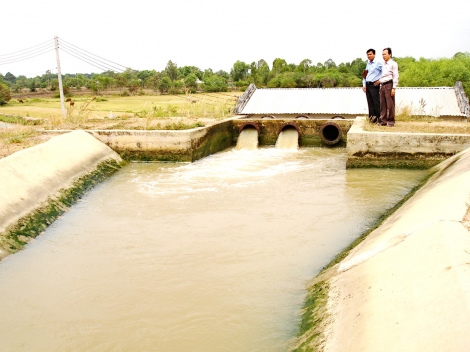 Thông tin kinh tế trong tỉnh