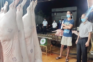 Sở Nông nghiệp và Phát triển nông thôn kiểm tra đột xuất 2 cơ sở giết mổ heo tại Châu Thành, Hoà Thành