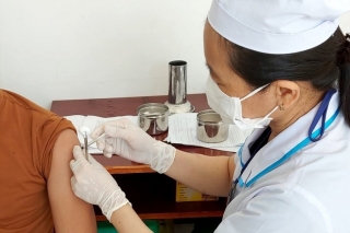 Bộ Y tế chính thức quy định đối tượng hoãn và không được tiêm vaccine