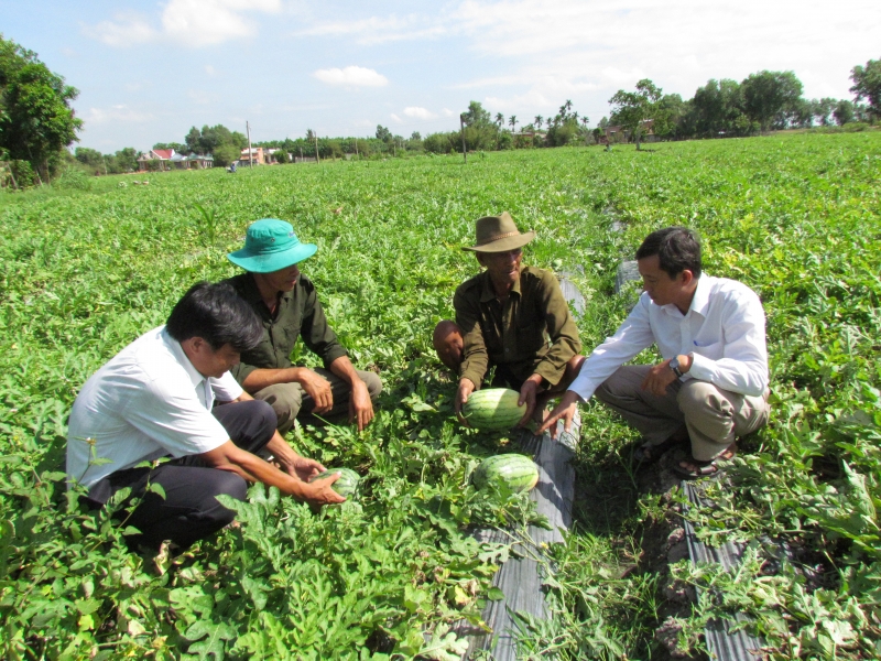 Nhà báo của nông dân thì phải biết lao động như nông dân