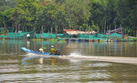 Cử tri đề nghị đầu tư phát triển du lịch dọc sông Vàm Cỏ Đông và đảo Nhím