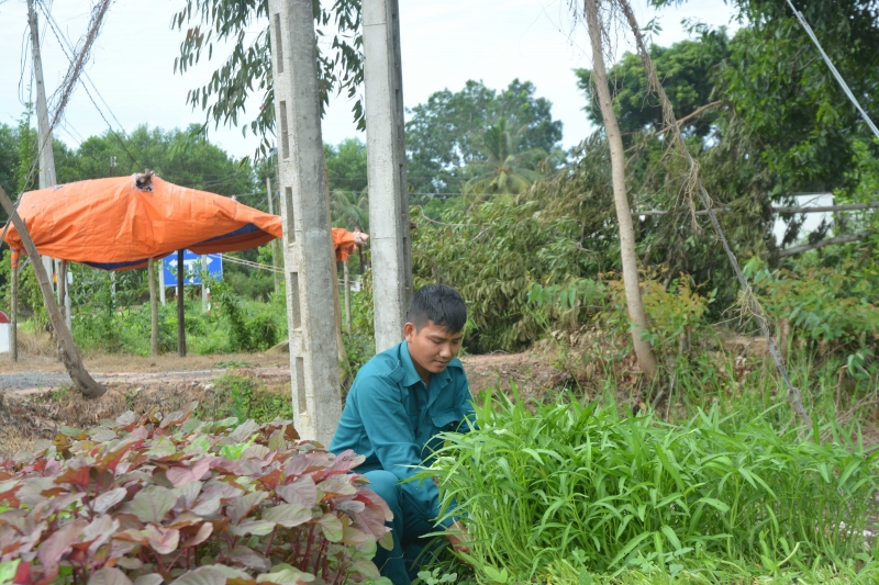 Vườn rau xanh nơi phòng, chốt chống dịch biên cương