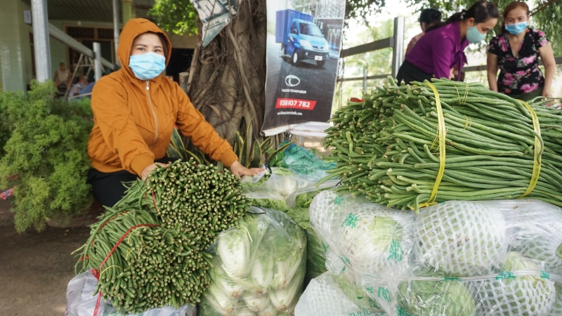 Những chuyến rau nghĩa tình