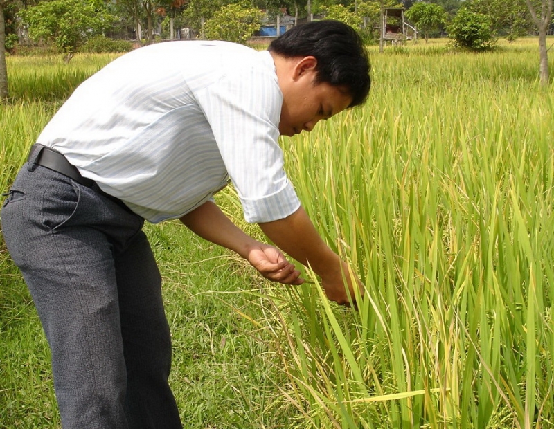 Thông tin kinh tế trong tỉnh