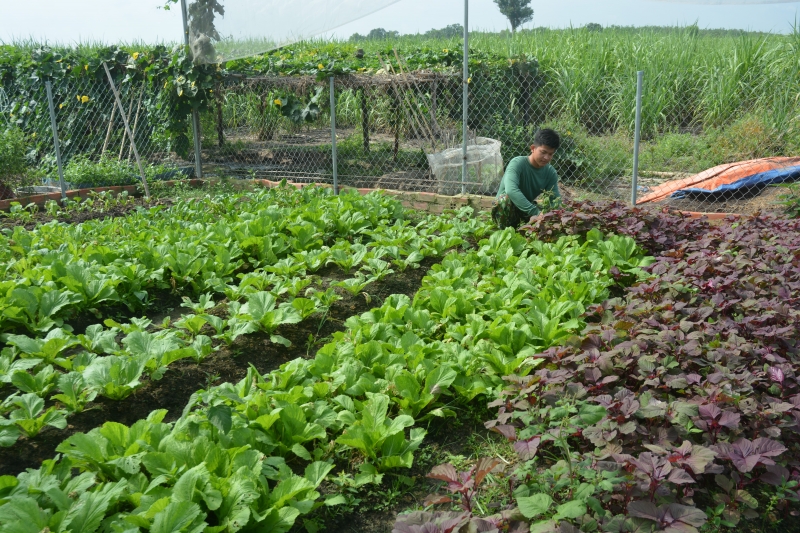 Tăng gia nơi chốt chống dịch