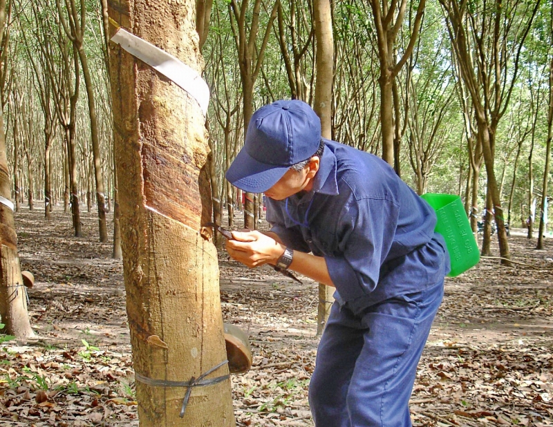 Thông tin kinh tế trong tỉnh