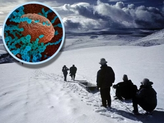 Phát hiện nhiều vi-rút chưa từng biết đến trong sông băng 15.000 năm