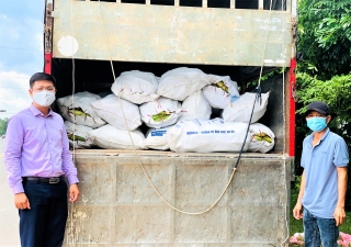 Hỗ trợ hơn 4 tấn nông sản cho người dân trong vùng dịch ở TP. Hồ Chí Minh
