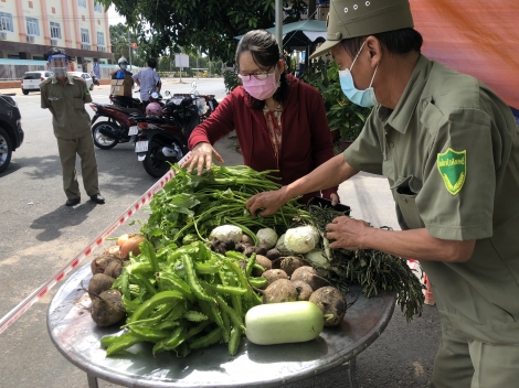 Thực hiện Mô hình Chuyến xe rau, củ, quả 0 đồng hỗ trợ 1.000 kg rau củ mỗi ngày